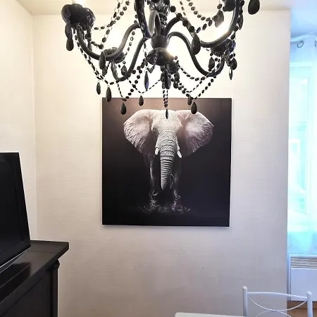 Apartment Ruthenois Au Coeur De La Citee De