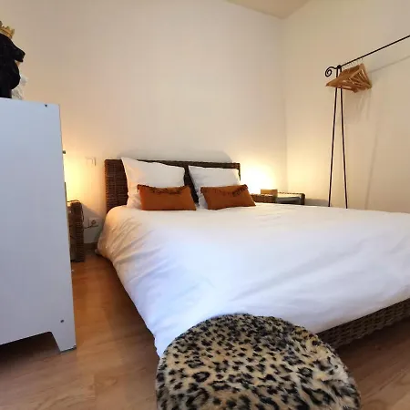 Apartment Ruthenois Au Coeur De La Citee De *